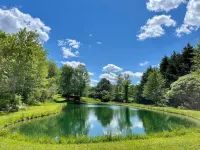 Private oasis on 12acre estate 15min to Keuka Lake