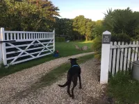 Romantic Railway Carriage in 2 acres!! By coast path, short walk to beach/pub 😎