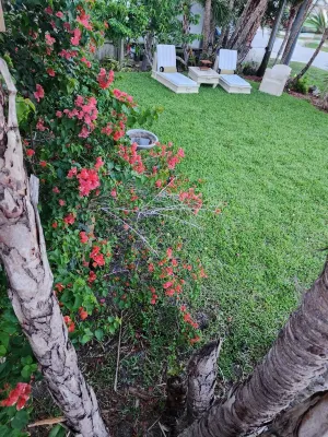 Vacation is where memories are made at your own Tropical Oasis.