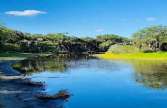 Tropical vacation house with large, heated pool and spacious, open floor plan