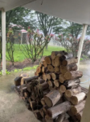 Misty farm in the mist in the hills among the wild life and the stars at night 羅伯遜酒店