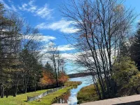 Cabin for up to 10 People !