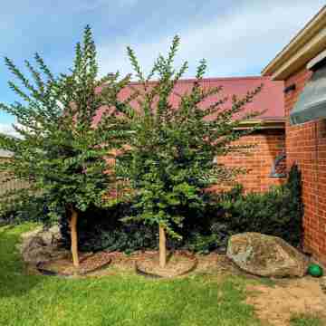 "Huonview" House on the Hill. Views for miles. 5 mins from CBD Hotel Exterior