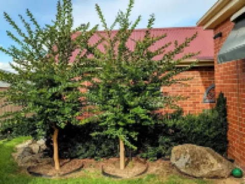 "Huonview" House on the Hill. Views for miles. 5 mins from CBD Hotels in Wodonga