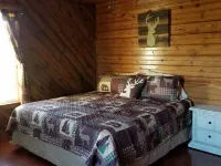 Cedar Lodge is quaint rustic lodge with modern amenities. Relaxing and warm! Hotels in Cedar County