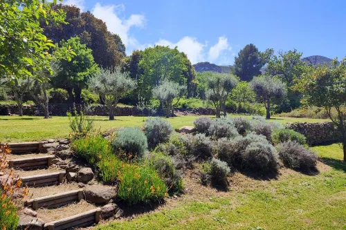 T2 ALIVU in a Corsican villa, comfortable, quiet, with swimming pool.