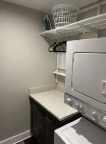 Experience the Best of Downtown St. Pete!