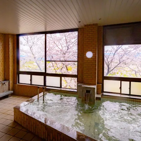 Ryokan Toyotomi