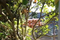 The Red Door - 1 Bedroom Studio and Bfst 阿爾弗斯通住宿飯店