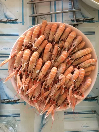 Sea view house near beach Отели в г. Пенмарш