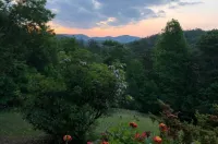 VIEWS! Mountain Sunsets & Stars! - The Green Cabin