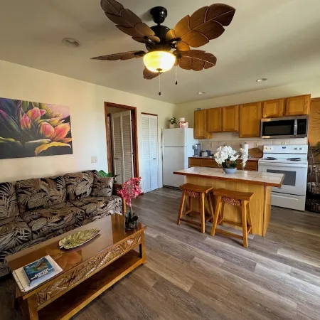 1 bdrm peakaboo ocean view walk to Turtle Beach, Alii Garden Mkt,Kona Village-1D