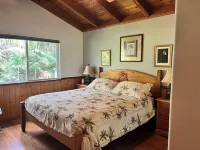 Craftsman Cottage on 6 forested acres