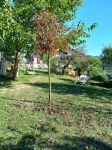 Bottom of villa in the countryside, 2 terraces, swimming pool, spa, sauna, barbecue...