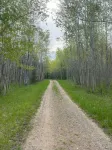 Your own private deep woods experience