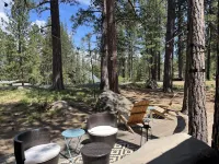 Fall Promotion- Stay the Weekend Get 1 Night Free 2 Bed 2 Bath + Loft 6 Sharc