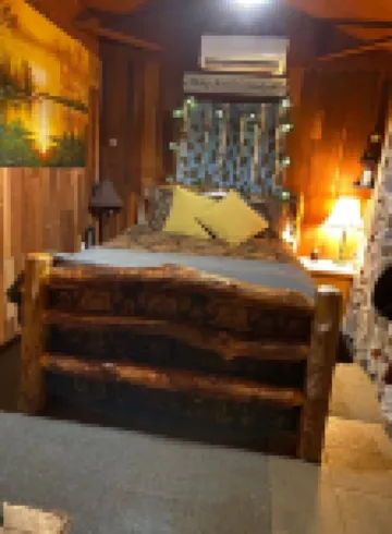 The Little Cabin in the Pines!