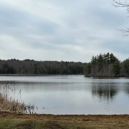 Lakefront 4 Bedroom 2 Bathroom Retreat with Beach and Dock