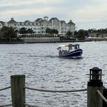 Perfect Location-Villa W Use of Golf Cart Close to Sumter Landing. Active Hosts!