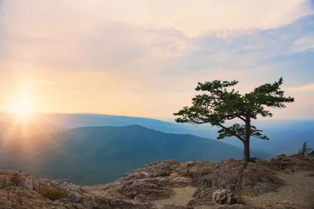 The Haven, located in the heart of the Shenandoah Valley