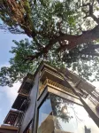 Ilif 2801 Dream Holidays, Lonavala Hotels in Tungarli