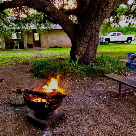 Three Oaks Property