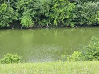 Quaint Cabin - 8 minutes from Ark Encounter!!Country setting, near town!!