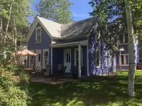 MODERN Monet Blue Aspen Victorian Whole House In Town,  with Private Hot Tub!