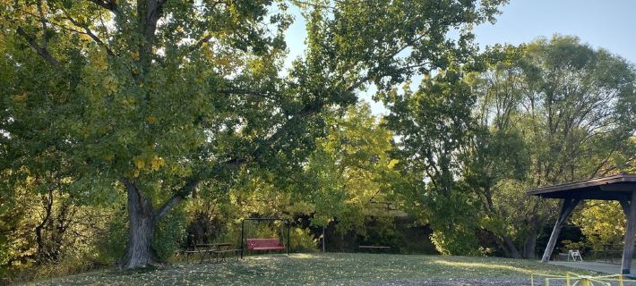 Downtown Paonia-cozy & quaint home Hotels in Delta County