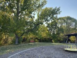 Downtown Paonia-cozy & quaint home