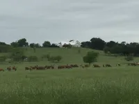 Red Deer Lodge HiBanks Ranch 12 minutes from Magnolia Silos