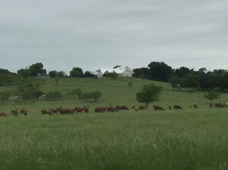 Red Deer Lodge HiBanks Ranch 12 minutes from Magnolia Silos