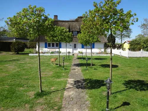 Reed roof Kate v. 1837