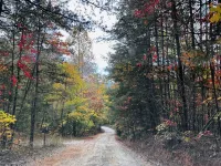 Katahdin Cabin, tranquil n rustic with inside hot tub, close to town! Romantic!