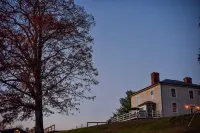 Rare Find: Private Animal Sanctuary & Tiny Cottage
