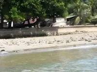 Sea Hotel Hotels in Nusaniwe