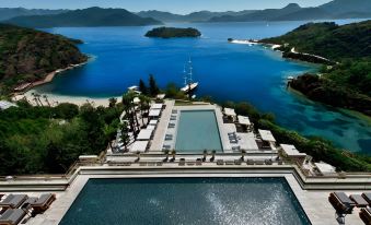D Maris Bay