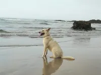 House in the Village | 4 Double Rooms | Fireplace Terrace | Yard Lourenza 호텔