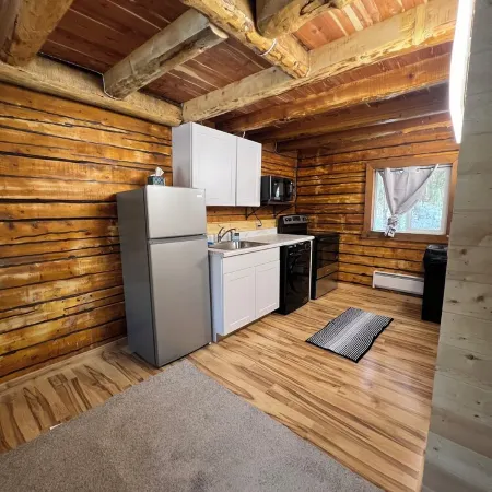 Petite Cabin With Ladder Loft