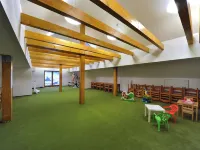 Penzion Andula Hotels in Strážné