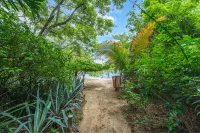 Tropical Retreat - Private Pool, Steps to Beach 2 Bedroom Villa by RedAwning