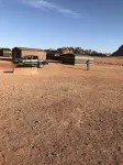Bedouin Expedition