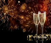 Hotel du Lac - Barer