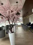 Hotel El Alamo Ejecutivo & Spa فنادق في Pisac