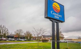 Comfort Inn