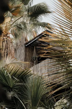 Acre Resort & Residences Отели в г. Лас Вередас