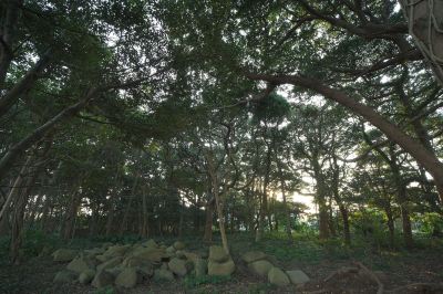 ホテル周辺 ホテル別邸 海と森の写真
