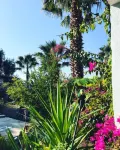 Urla Bella Hotels in Bademler Mahallesi