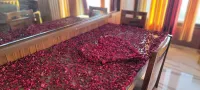 Casa Arhan Luxury Mussoorie Homestay - Hot Tub