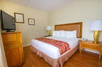 Rodeway Inn South Miami - Coral Gables Hôtels à : South Miami